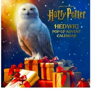 Harry potter advent calendar hedwig for sale